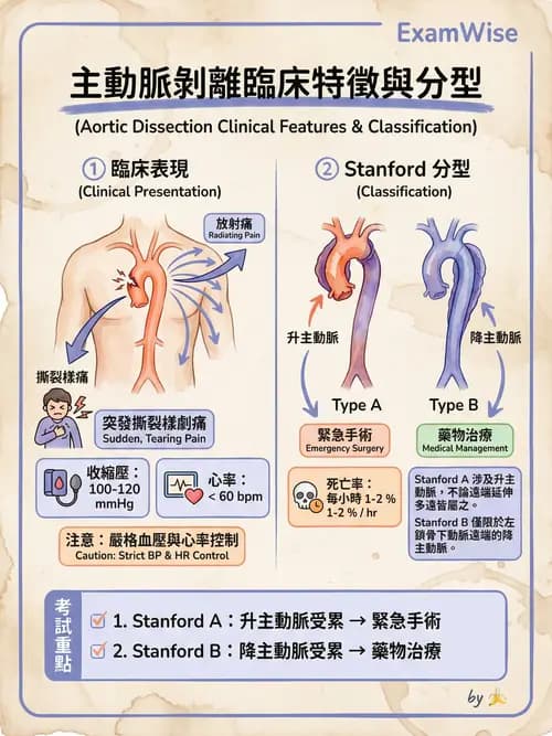 專師 - 主動脈疾病 - AI 圖文解析預覽