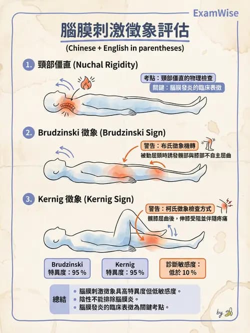 專師 - 中樞神經感染 - AI 圖文解析預覽