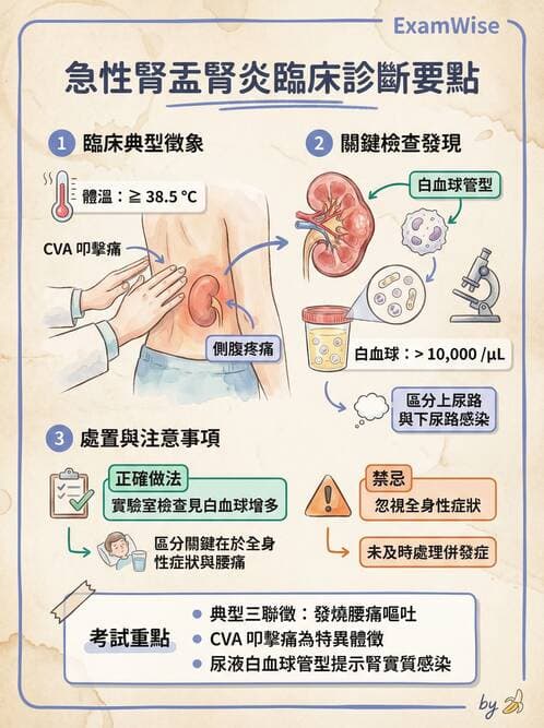 專師 - 糖尿病腎病變與腎絲球疾病 - AI 圖文解析預覽