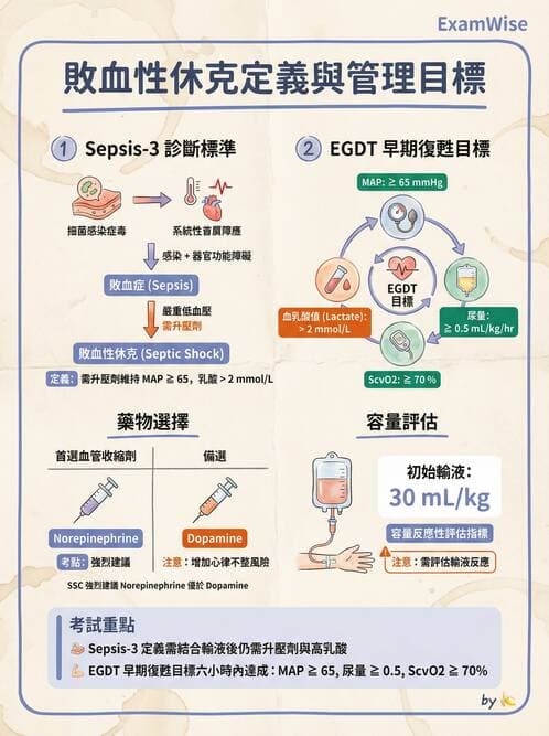 專師 - 敗血症治療與復甦指引 - AI 圖文解析預覽