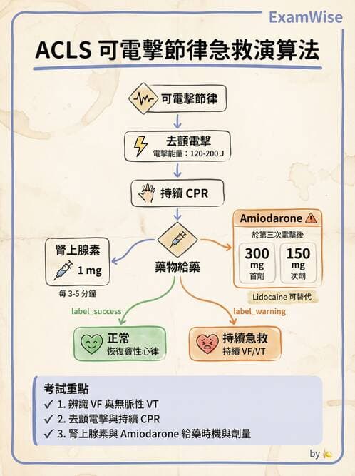 專師 - 心律不整與電擊治療 - AI 圖文解析預覽