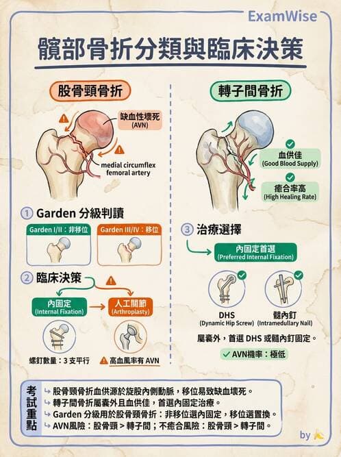 專師 - 髖關節疾病與手術 - AI 圖文解析預覽
