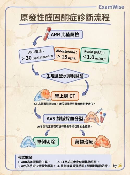 專師 - 腎上腺疾病 - AI 圖文解析預覽