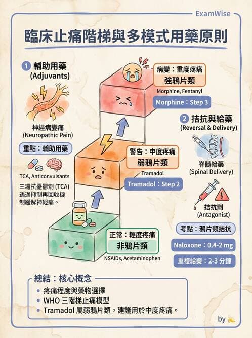 專師 - 術後疼痛控制 - AI 圖文解析預覽
