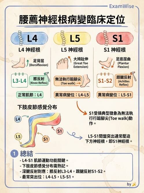 專師 - 頭部外傷與顱內壓 - AI 圖文解析預覽