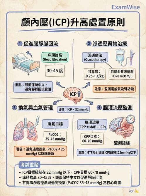 專師 - 頭部外傷與顱內壓 - AI 圖文解析預覽