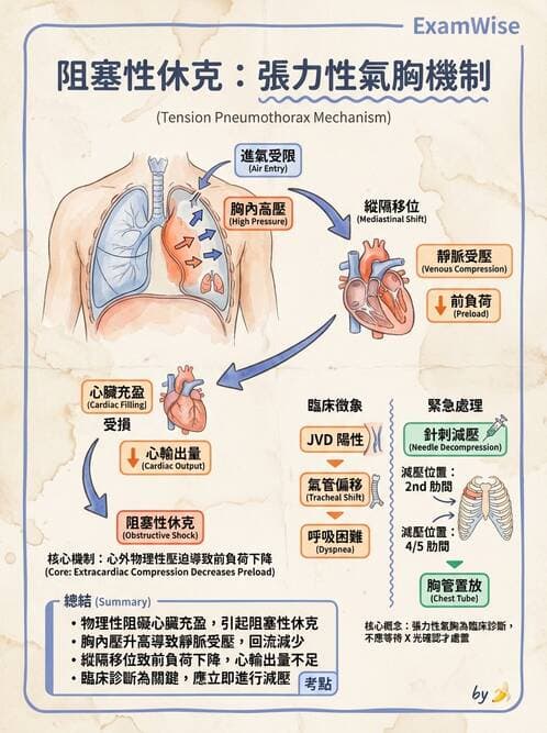 專師 - 氣胸 - AI 圖文解析預覽
