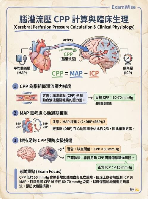 專師 - 頭部外傷與顱內壓 - AI 圖文解析預覽