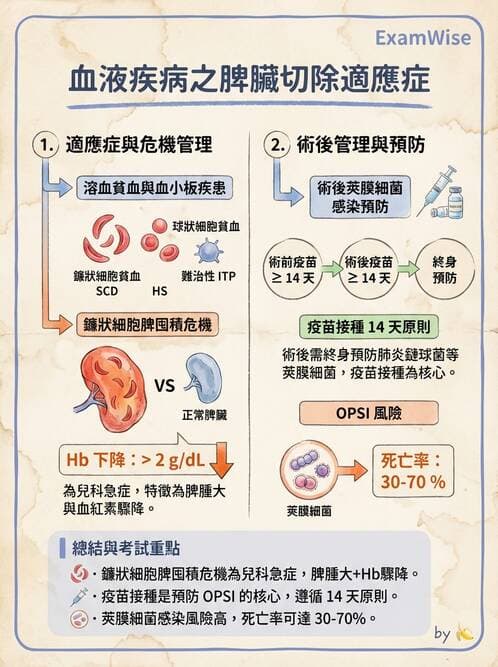 專師 - 血液疾病 - AI 圖文解析預覽