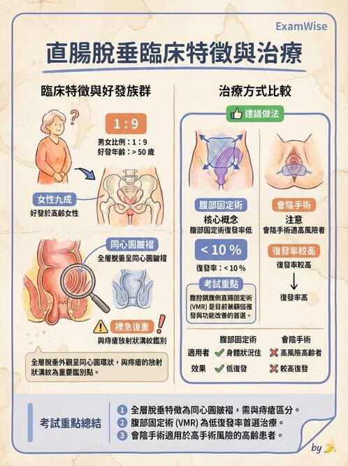 專師 - 腸道疾病與肛門直腸 - AI 圖文解析預覽