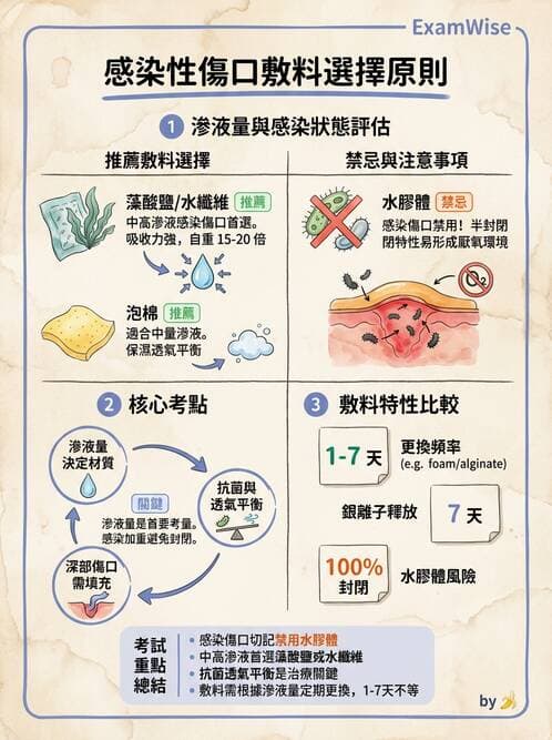 專師 - 傷口敷料與照護 - AI 圖文解析預覽