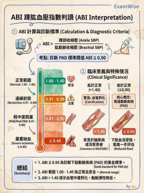 專師 - 周邊血管與靜脈疾病 - AI 圖文解析預覽