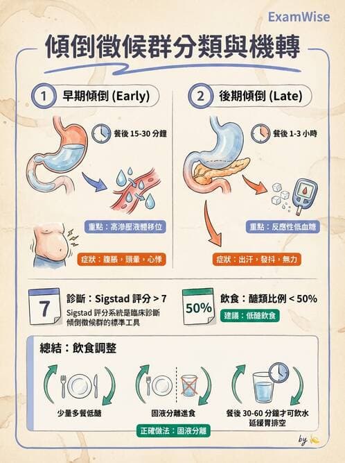 專師 - 上消化道與減重外科 - AI 圖文解析預覽