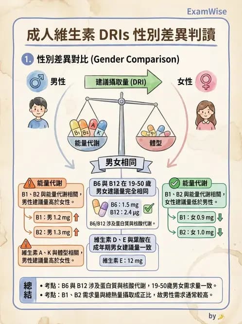 營養 - DRIs與飲食指南 - AI 圖文解析預覽