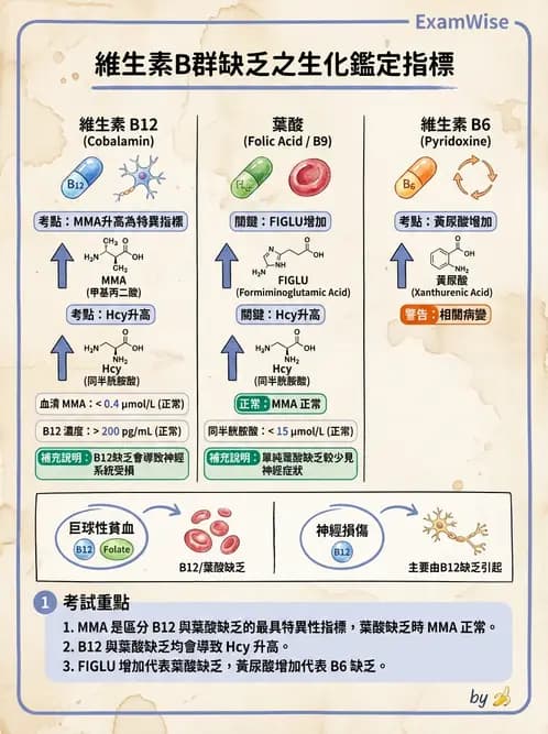 營養 - 生化指標與營養缺乏 - AI 圖文解析預覽