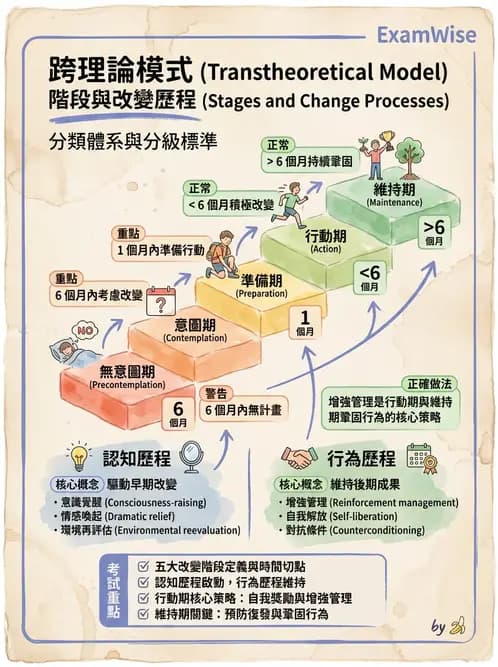 營養 - 健康行為改變理論 - AI 圖文解析預覽