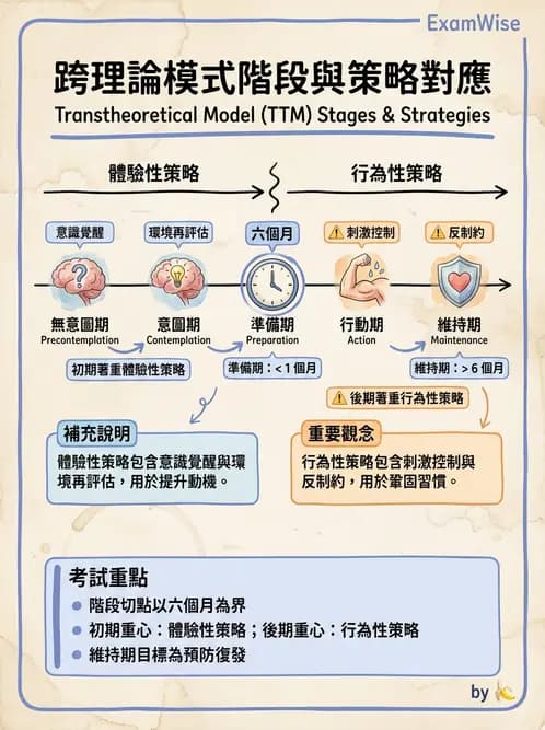 營養 - 健康行為改變理論 - AI 圖文解析預覽
