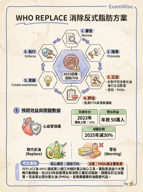 營養 - 國際營養議題與糧食安全 - AI 圖文解析預覽
