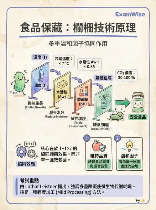 營養 - 食品腐敗微生物學 - AI 圖文解析預覽