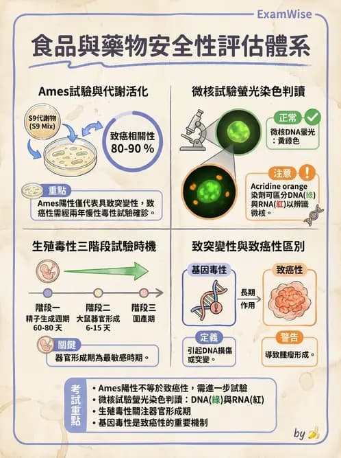 營養 - 食品安全性評估 - AI 圖文解析預覽