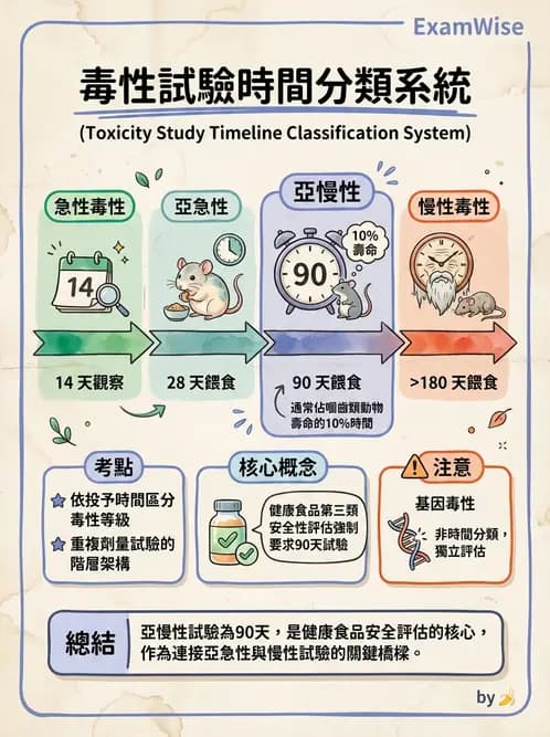 營養 - 食品安全性評估 - AI 圖文解析預覽