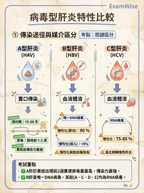 營養 - 食源性病原微生物 - AI 圖文解析預覽