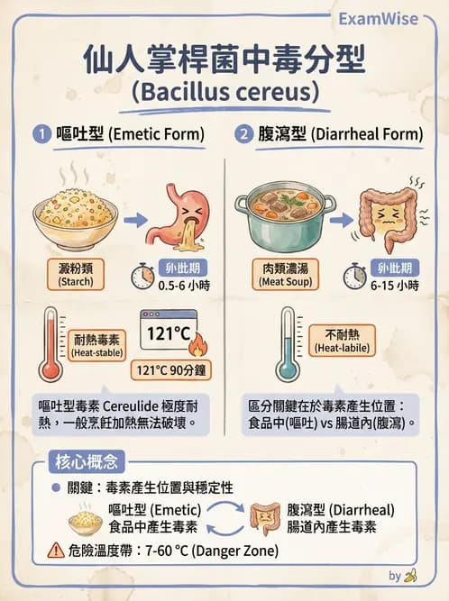營養 - 食源性病原微生物 - AI 圖文解析預覽