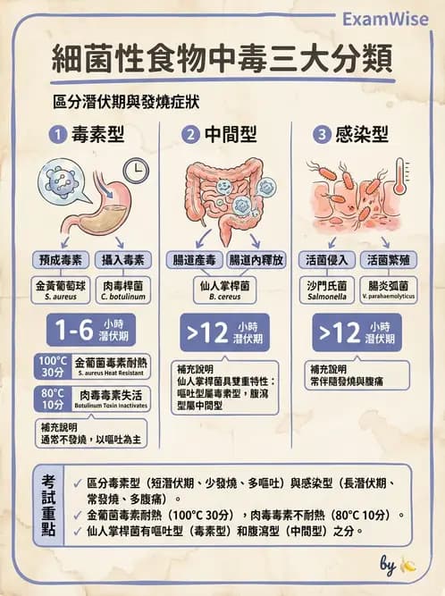 營養 - 食源性病原微生物 - AI 圖文解析預覽