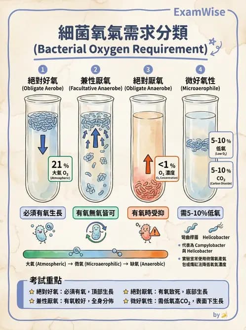 營養 - 食源性病原微生物 - AI 圖文解析預覽
