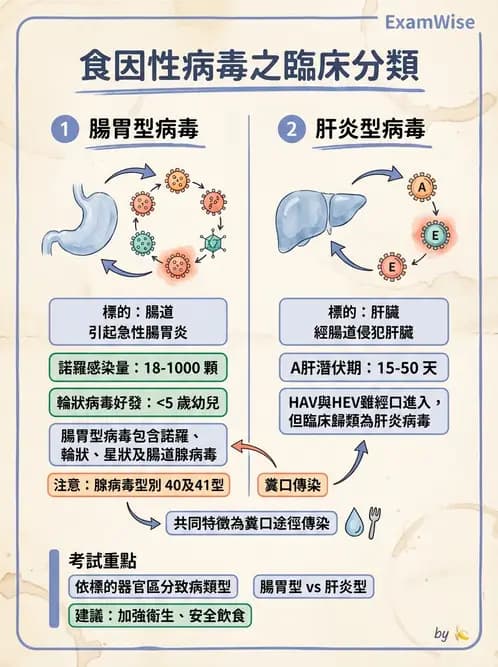 營養 - 食源性病原微生物 - AI 圖文解析預覽