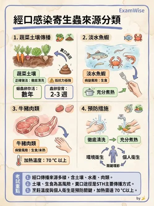 營養 - 生物性污染與寄生蟲 - AI 圖文解析預覽