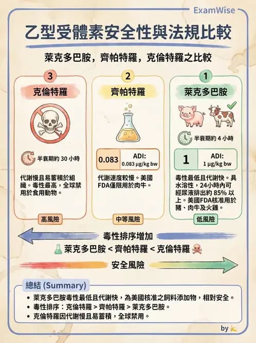 營養 - 化學性危害 - AI 圖文解析預覽