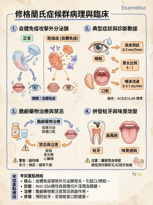 營養 - 血液與免疫 - AI 圖文解析預覽