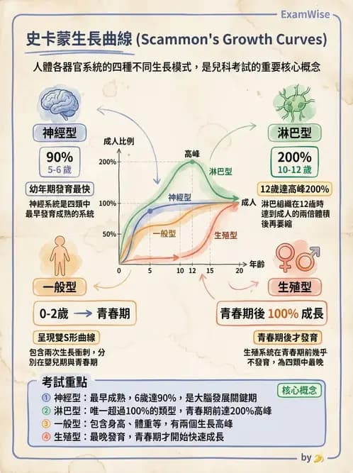 營養 - 嬰幼兒營養 - AI 圖文解析預覽