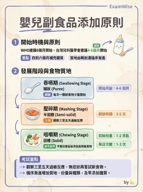 營養 - 嬰幼兒營養 - AI 圖文解析預覽