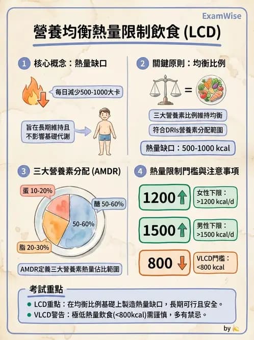 營養 - 體重管理與攝食異常 - AI 圖文解析預覽