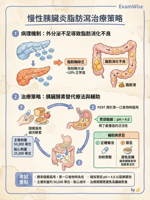 營養 - 肝膽疾病 - AI 圖文解析預覽