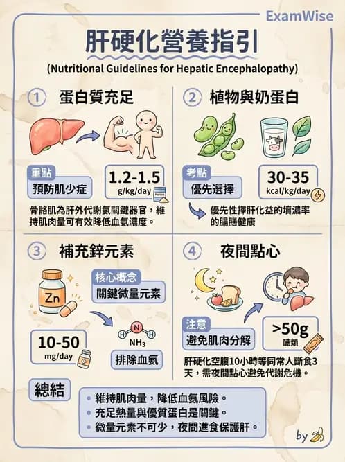 營養 - 肝膽疾病 - AI 圖文解析預覽
