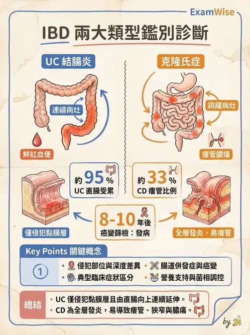 營養 - 腸胃道疾病 - AI 圖文解析預覽