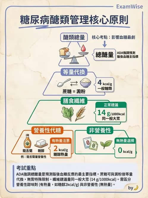 營養 - 糖尿病與代謝症候群 - AI 圖文解析預覽