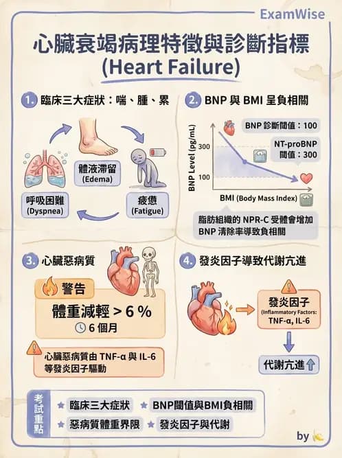 營養 - 心臟衰竭、移植與血脂管理 - AI 圖文解析預覽