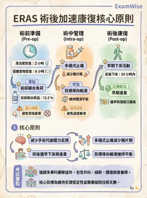 營養 - 燒燙傷與外傷重症營養 - AI 圖文解析預覽