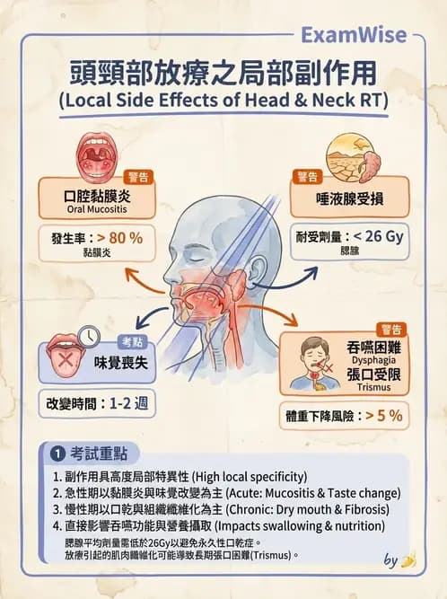 營養 - 癌症營養 - AI 圖文解析預覽