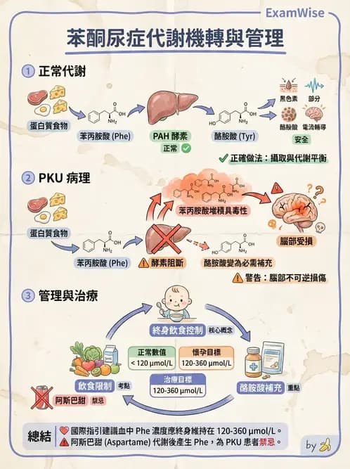 營養 - 嬰幼兒疾病營養 - AI 圖文解析預覽