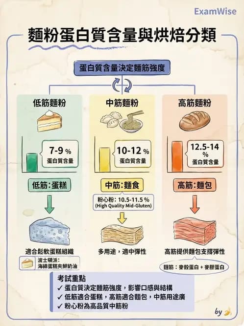 營養 - 穀類、澱粉與麵粉製備原理 - AI 圖文解析預覽
