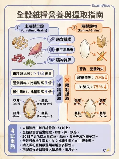 營養 - DRIs與飲食指南 - AI 圖文解析預覽