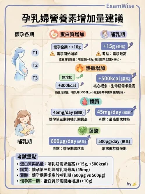 營養 - DRIs與飲食指南 - AI 圖文解析預覽