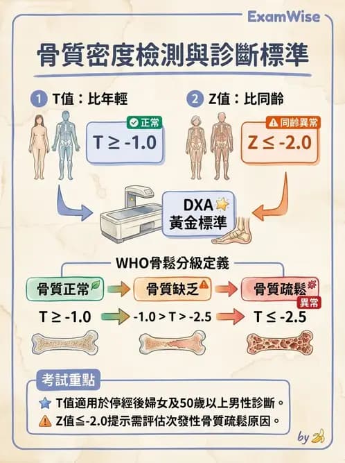 營養 - 生化指標與營養缺乏 - AI 圖文解析預覽