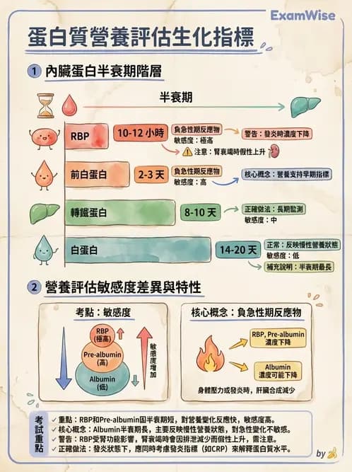營養 - 生化指標與營養缺乏 - AI 圖文解析預覽