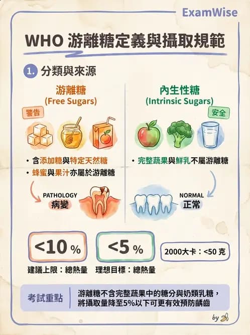 營養 - 國際營養議題與糧食安全 - AI 圖文解析預覽